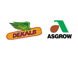 dekalb
